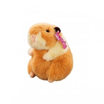 Cuy 22cm