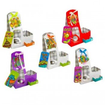 Pqte*6 Ancheta DUO 23x16x8cm