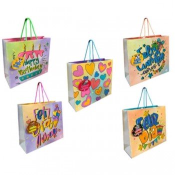 Bolsa*6 grw 22x24x9cm